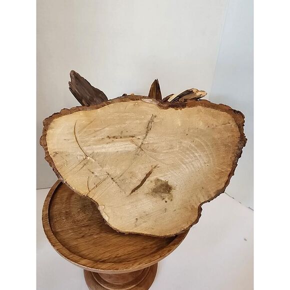 Birds Owls on Driftwood on wood base 10" High-One of a Kind! - Picture 8 of 8